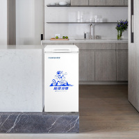 辰佳 (Changer)BC/BD(W)-70 70升小冰柜冷柜家用立式单门冷冻柜冷藏柜 白色