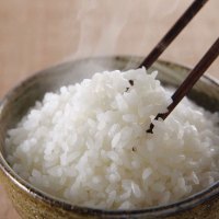 [苏宁超市]吉光 2020新米 鲜米 小町香大米 5KG/袋 东北大米 吉林大米 寿司米 圆粒香米 新米 密封包装 吉光