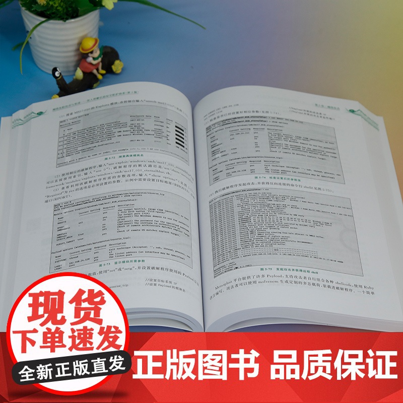 [正版新书] 网络攻防技术与实战——深入理解信息安全防护体系(第2版) 郭帆 清华大学出版社 实战高清大图