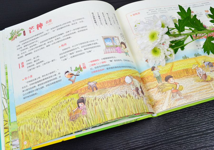 我们的科技 [正版]30元任选3件我们的节气 画给孩子的二十四节气绘本24节气故事二十四节气书4-6-8儿童中国传统节日高清大图