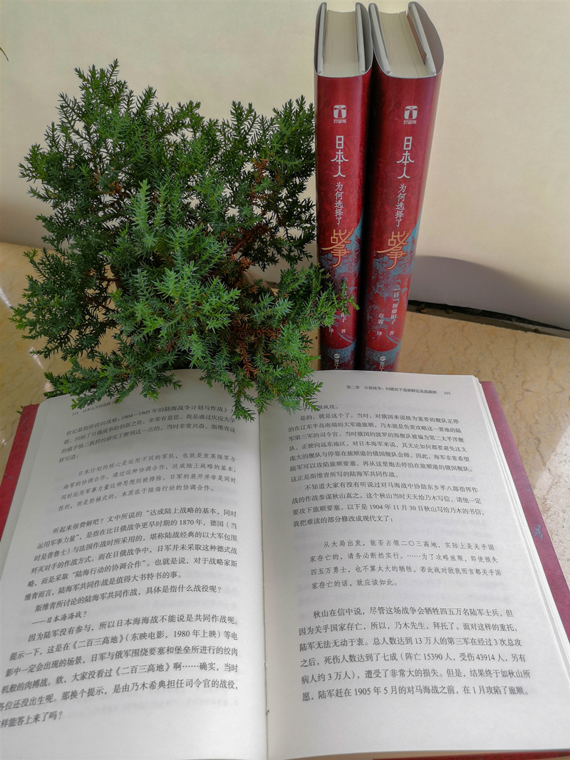 [正版]日本人为何选择了战争 好望角系列丛书 加藤阳子甲午战争日本十年 日本近现代史经典 历史书籍世界史为什么选择高清大图