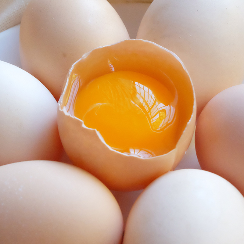 [中华特色]湖北馆 天尚富 农家土鸡蛋新鲜散养鸡蛋粉壳鸡蛋8枚/10枚/2