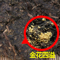 黑茶伏砖400g