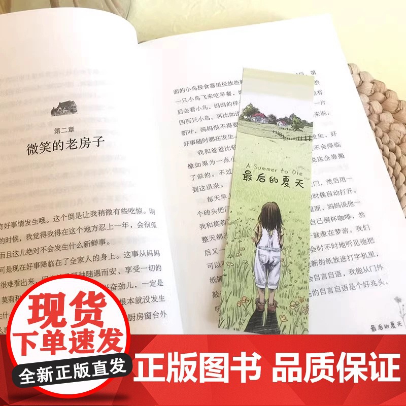 最后的夏天长青藤国际大奖小说书系儿童文学经典书籍青少年中小学生四五六年级阅读课外书6岁以上适合小学生初中生看的课外书正版高清大图