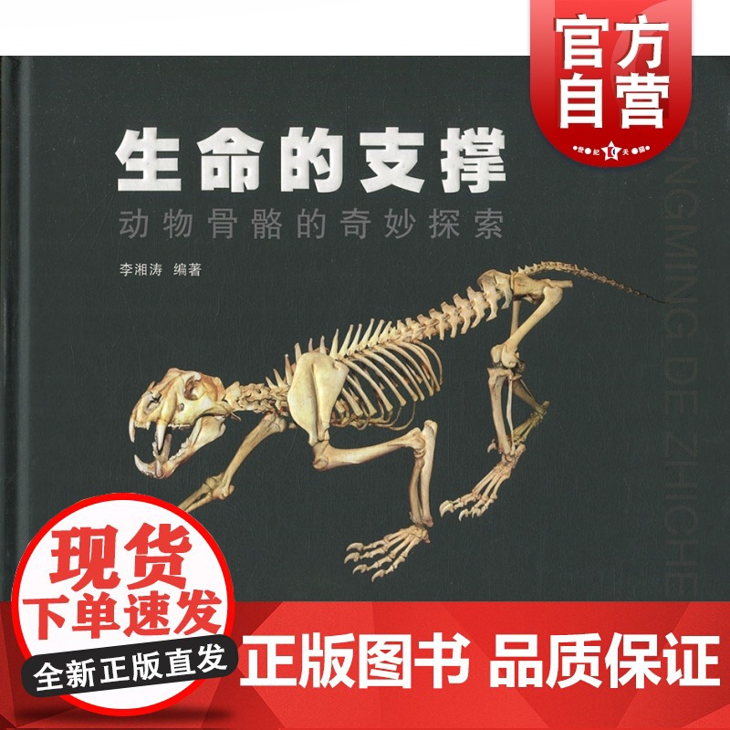 生命的支撑 动物骨骼的奇妙探索 李湘涛 动物骨骼自然科学类科普读物 再现脊椎动物演化历程 上海科学技术出版社高清大图