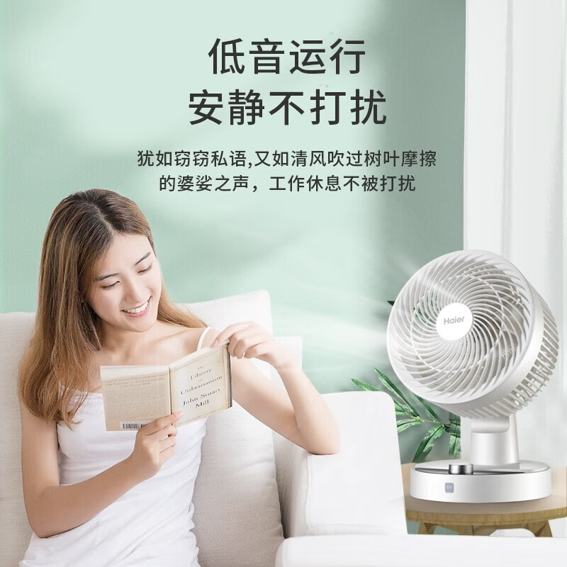 海尔(Haier)空气循环扇台式风扇家用电风扇上下左右摇头小风扇电扇涡轮换气扇循环对流电风扇HFX-TJ2025 机械款高清大图