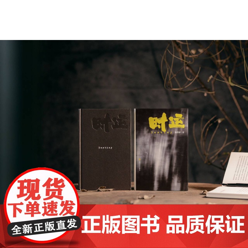 时运 宝珀理想国文学奖得主魏思孝新作另著王能好上海文艺出版社中国当代小说正版图书籍高清大图