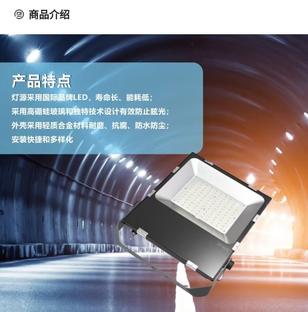 鄂远(EYUAN)LED泛光灯 EY113-200W高清大图