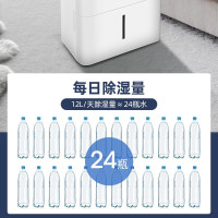 美的(Midea) 家用除湿机干衣/抽湿机除湿量12升/天家用干燥机干衣20㎡以下适用/地下室CF12BD/N7-DN