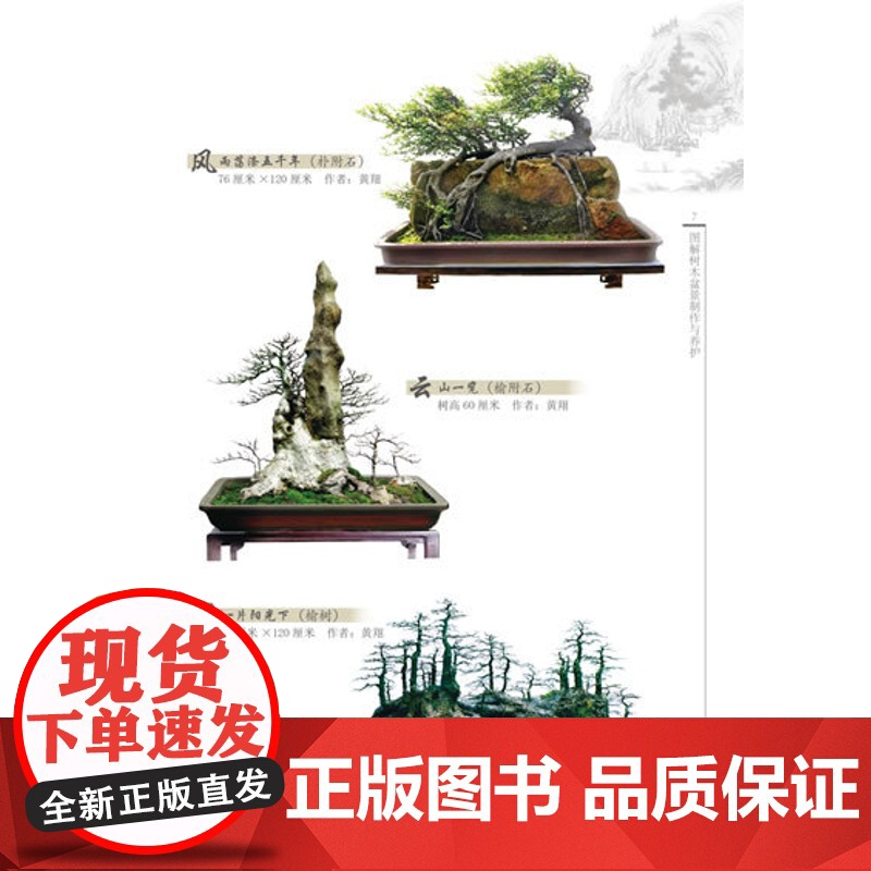 [店] 图解树木盆景制作与养护 盆景入门教程书 盆景制作技巧参考书 树木盆景造型艺术书 盆景养护管理书籍高清大图