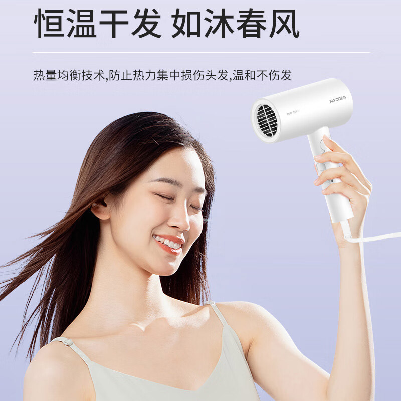 飞科吹风机FH6276高清大图
