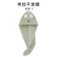 洁丽雅干发帽女超强吸水速干洗头巾可爱卡通浴帽加厚包头巾 2条装 绿色