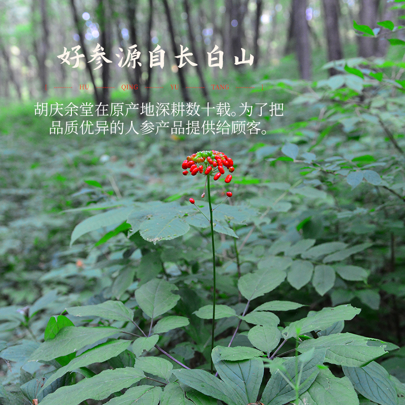 胡庆余堂仙鹤红参礼盒