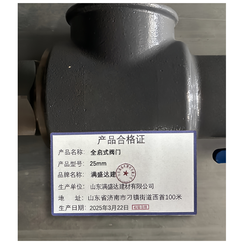 满盛达建 全启式阀门 25mm 个