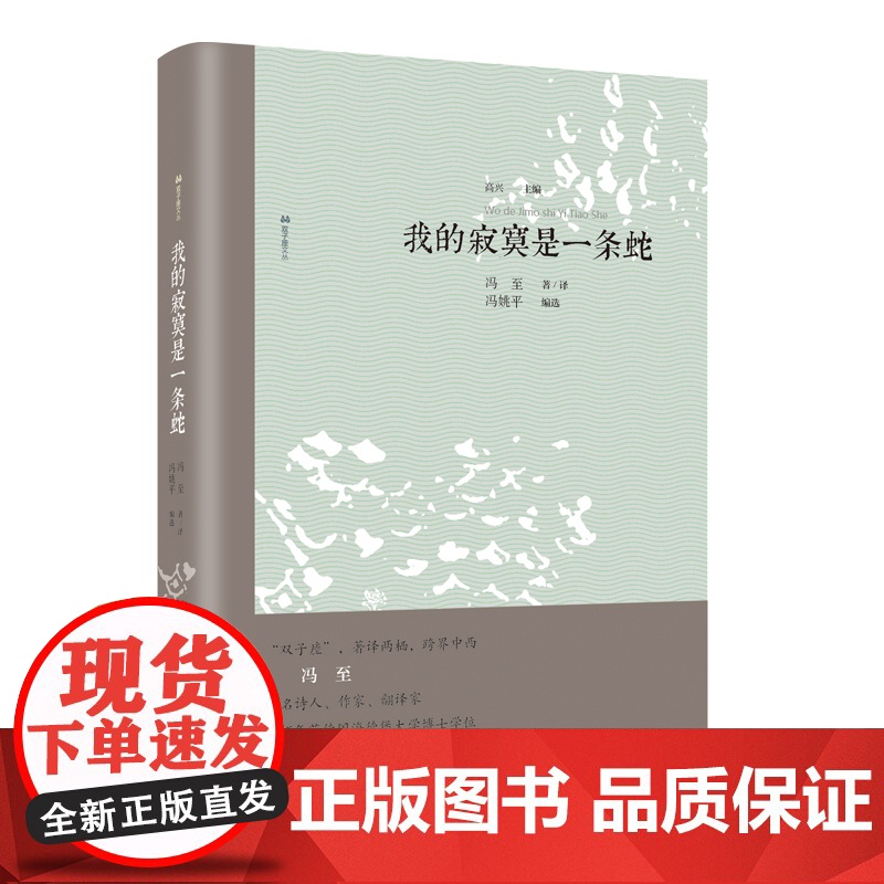 我的寂寞是一条蛇 冯至 漓江出版社 正版书籍高清大图