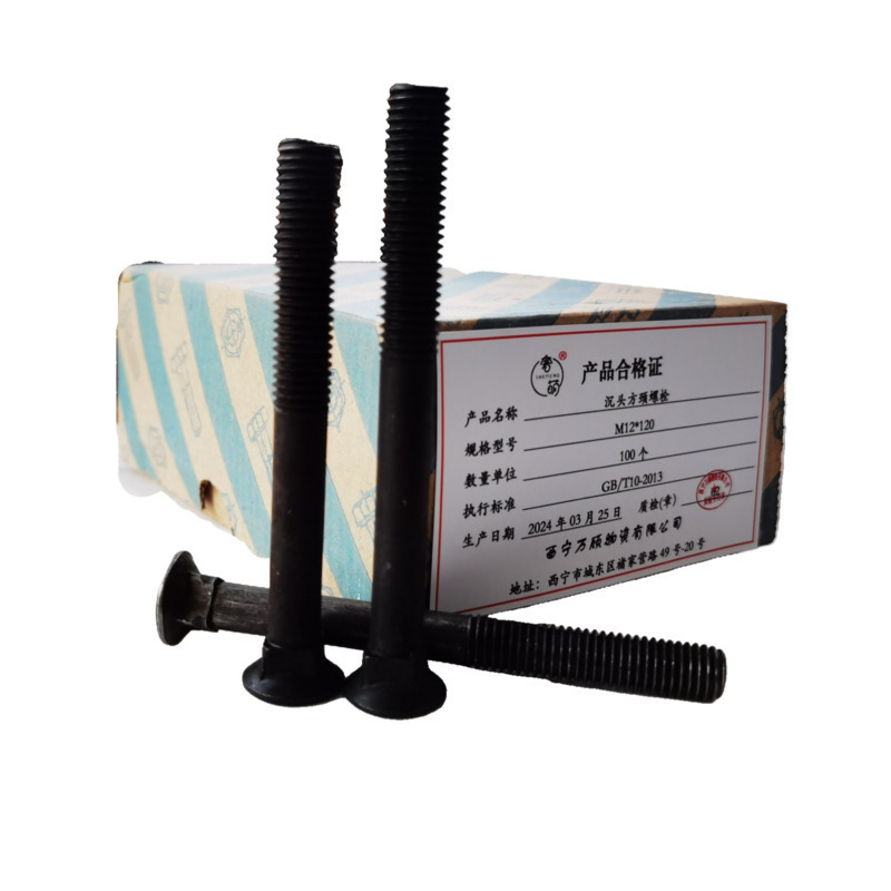 奢萌 沉头方颈螺栓 M12*120 个