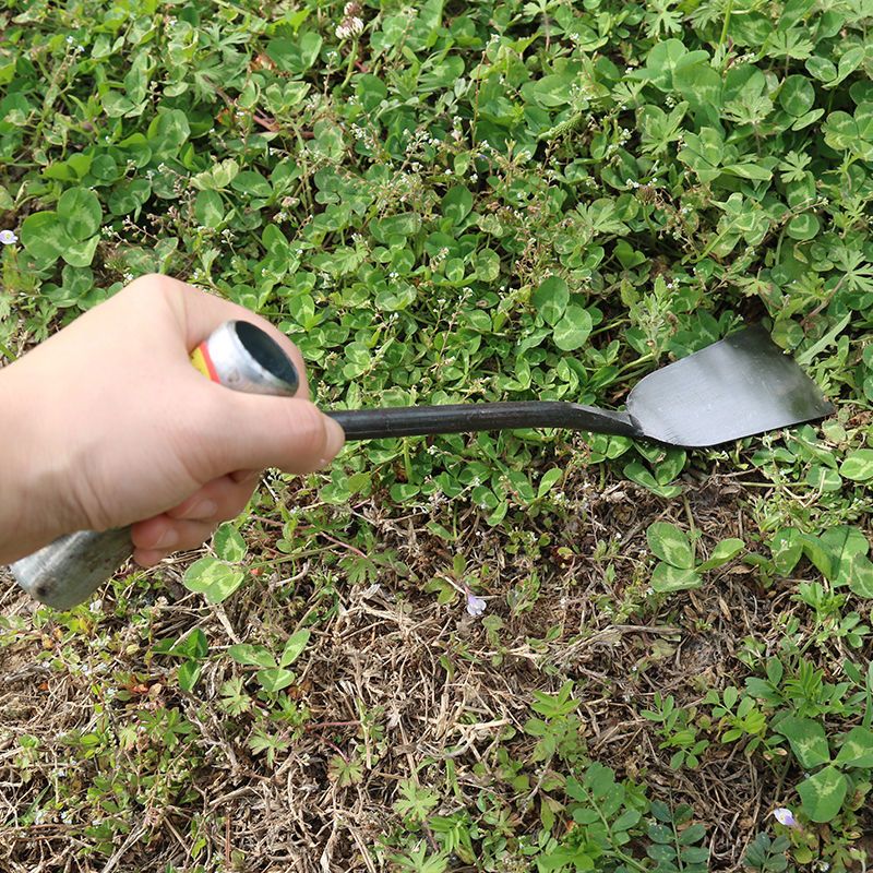 弹簧钢蒜铲园艺铲子栽花铲子挖蒜铲挖野菜铲子铁铲子移花铲子小铲子