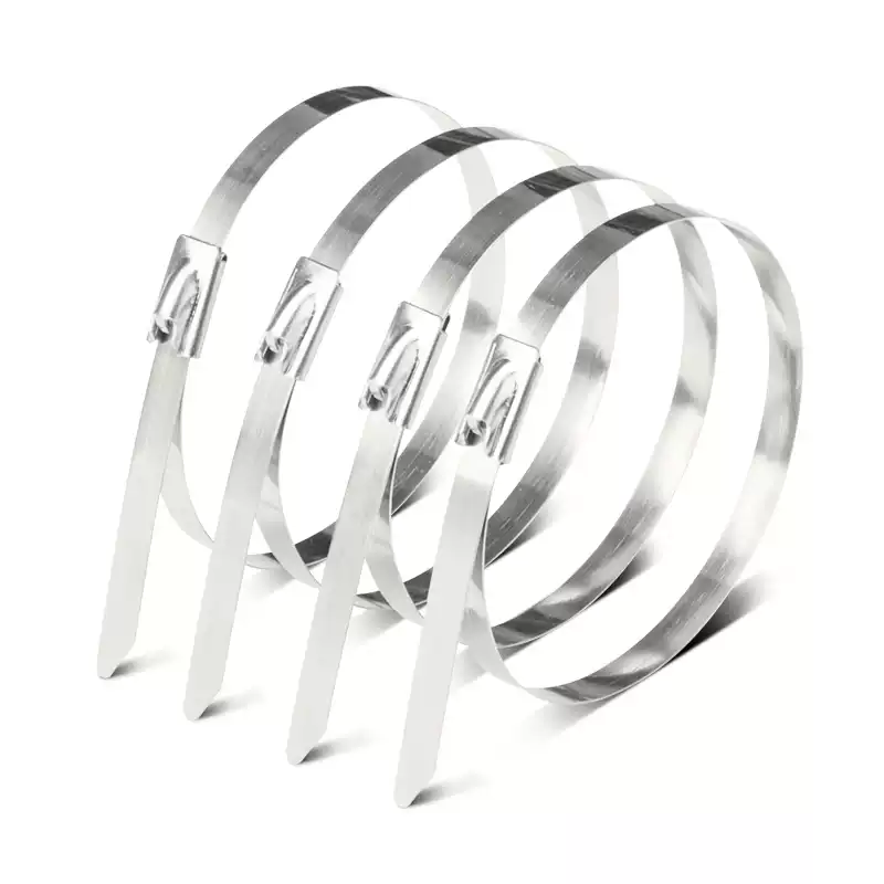 泰炙鼎 不锈钢扎带 19*1500mm 根高清大图