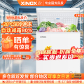 星星（XINGX）BD/BC-140E 单温冰柜 厨房商用保鲜设备 展示柜