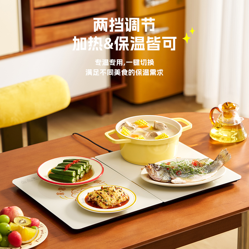 大宇DAEWOO 暖菜板WB09白色高清大图