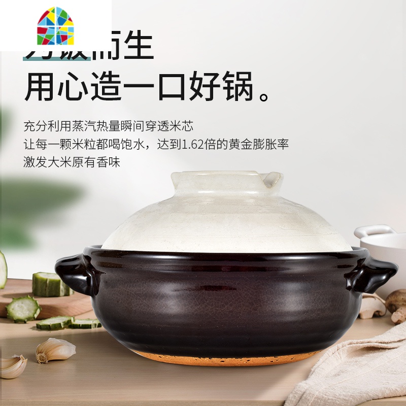 砂锅迷你日式陶瓷锅陶土锅炖锅小号米线煲仔饭小砂锅家用明火 FENGHOU 小樱花款800毫升高清大图