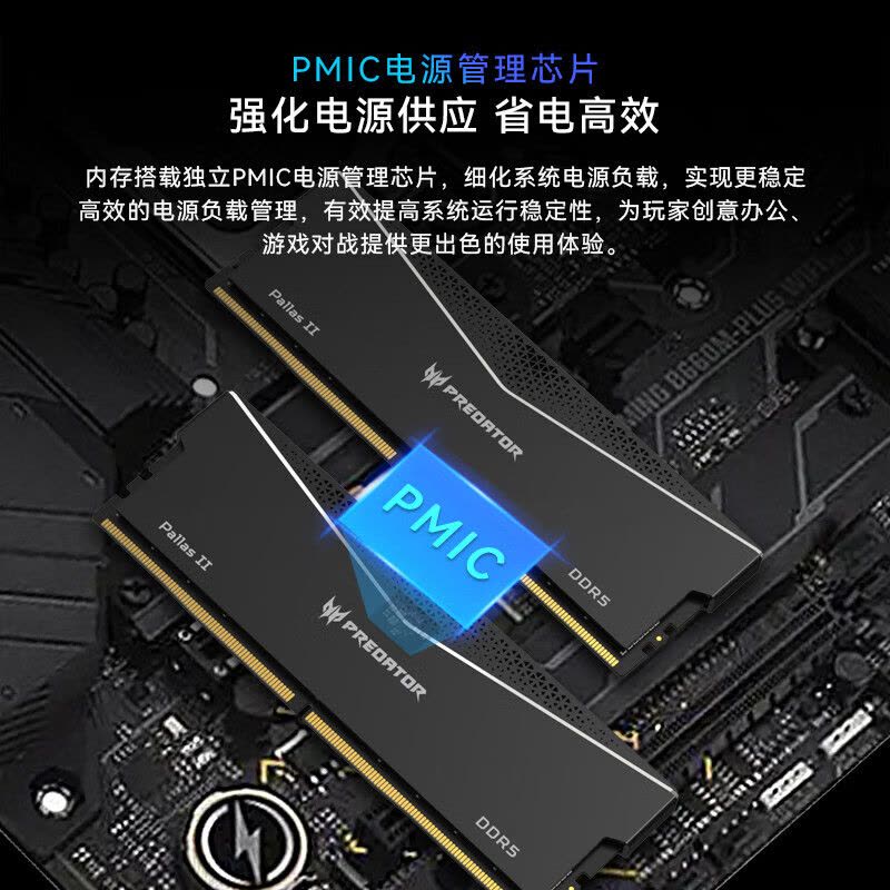 宏碁掠夺者48G(24G×2)套装 DDR5 6000频率 台式机内存条 Pallas II 凌霜系列(C28)石耀黑图片