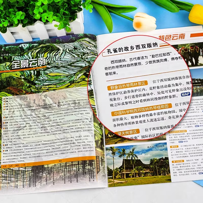 中国分省自驾游地图册全套20册 [正版]全国自驾旅游地图 全套20册 中国分省自驾游地图集系列 2024新版 各省景点旅高清大图