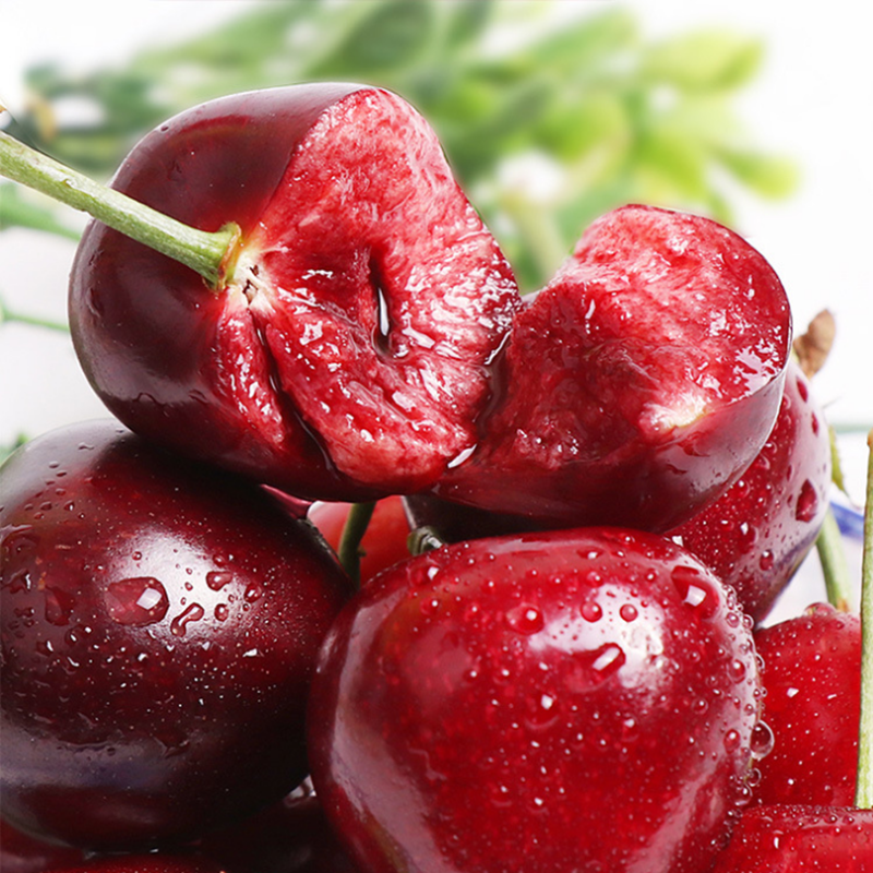 顺丰快递【熊猫鸟】大连美早大樱桃 车厘子 JJ级 净重4.8斤