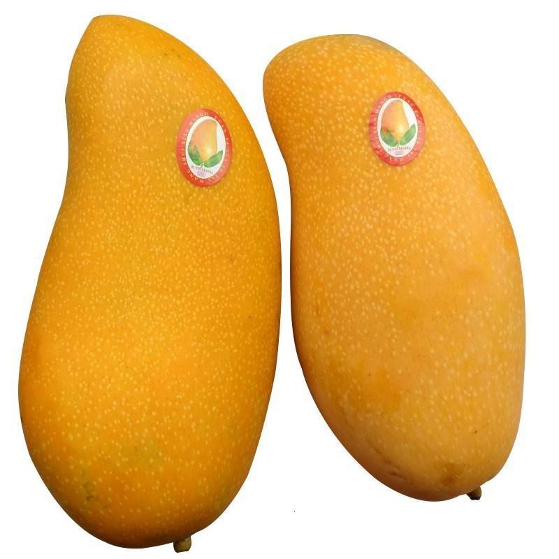 海南新鲜水果农家自种芒果肉质细腻 肥厚多汁 甘甜可口 净重9斤装