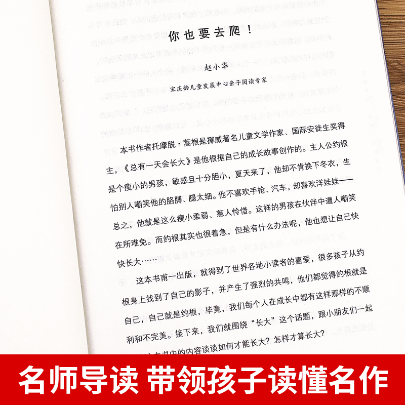总有一天会长大 [正版]总有一天会长大 四年级阅读课外书必读老师