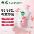 滴露（Dettol）洗手液消毒抑菌滋润500g+500g补充装儿童家庭护手替换_988
