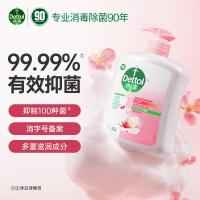滴露（Dettol）洗手液消毒抑菌滋润500g+500g补充装儿童家庭护手替换_988