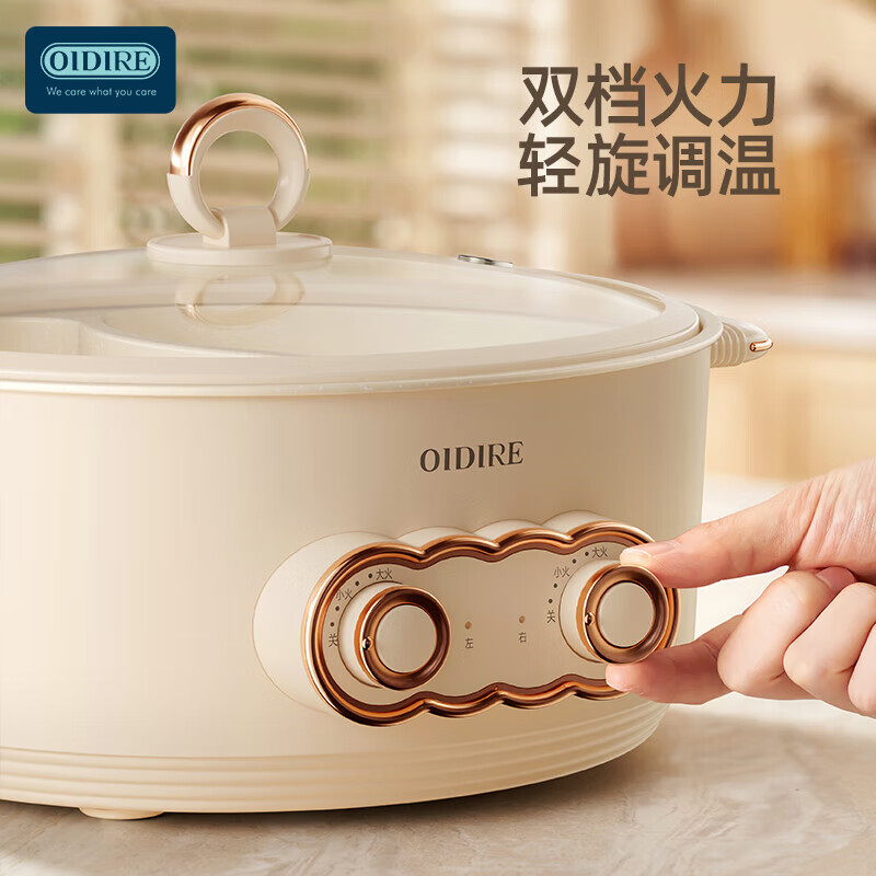 OIDIRE电煮锅 电炖锅电火锅多功能锅 ODI-DHG19 6L高清大图