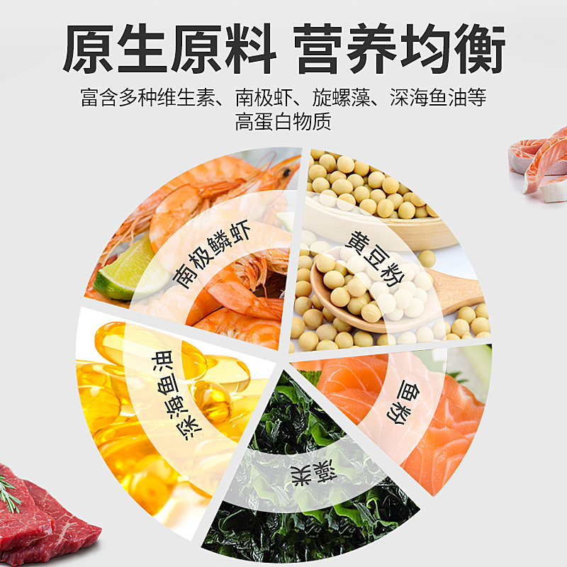 静一蓝鲨鱼饲料虎头鲨饲料成吉思汗鲨鱼饲料缓沉底粮下沉鱼食鱼粮