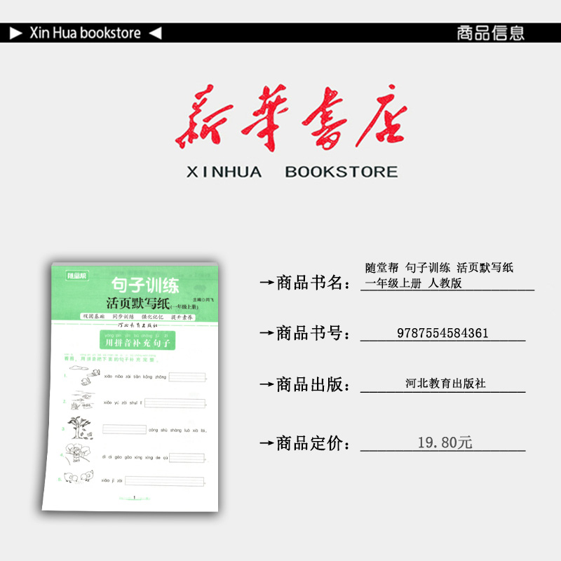语文 一年级上 [正版] 2024秋 随堂帮 句子训练 活页默写纸 一年级上册 人教版