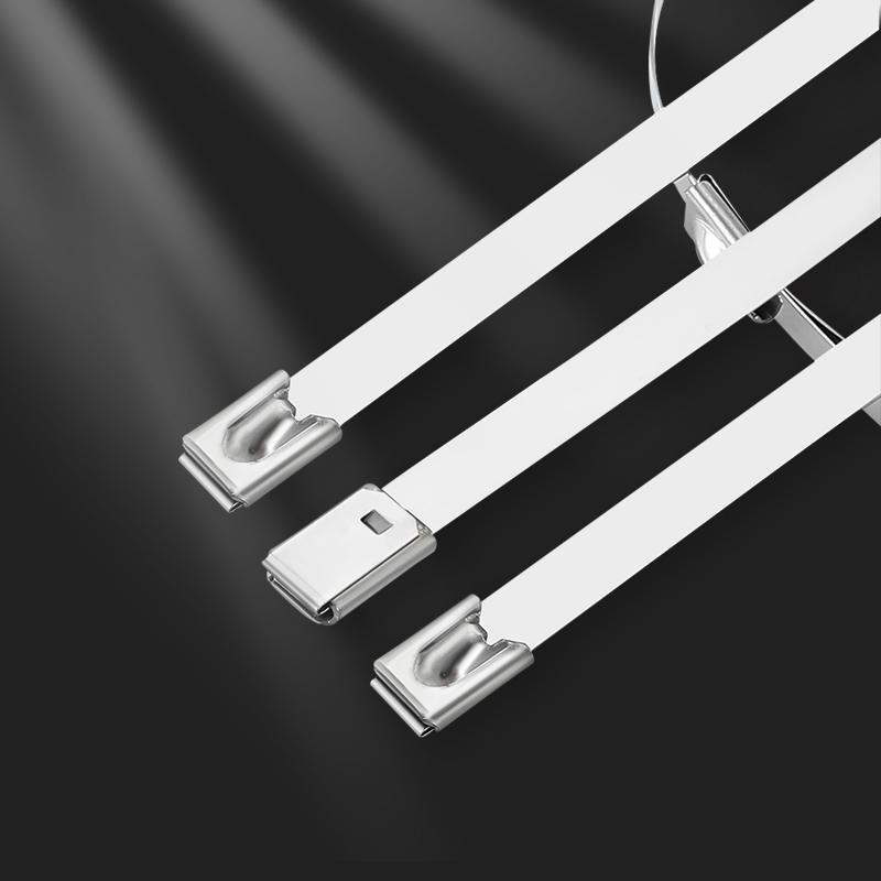 鸿启纳 304不锈钢扎带金属强力卡扣自锁式收紧23122502 4.6mm*150mm (100根/包)高清大图