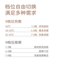 左点zdeer 电动刮痧板 智能砭石按摩器 面部刮脸仪器肩颈椎腿部恒温 面部按摩器(黑砭石)+3瓶精油