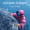 久年 5A大连淡干海参500g深海野生辽刺参底播海鲜水产干货非即食营养健康滋补品特价备孕妇老人小孩家用50-70头