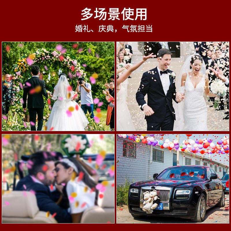 闪粉款 (6根)60厘米 婚庆用品大全结婚礼花礼炮手持喷花喷彩彩花筒结婚庆典开业礼花筒