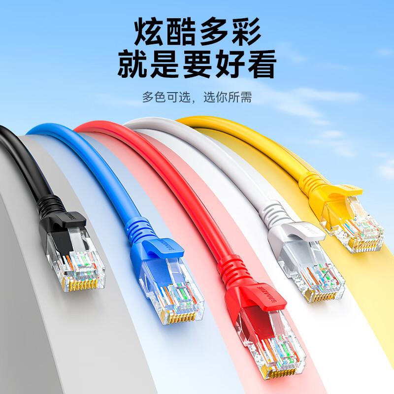 山泽 超五类网线 CAT5e类高速千兆网线 2米 成品网线 贝吉色 ZW-02(五个起拍)
