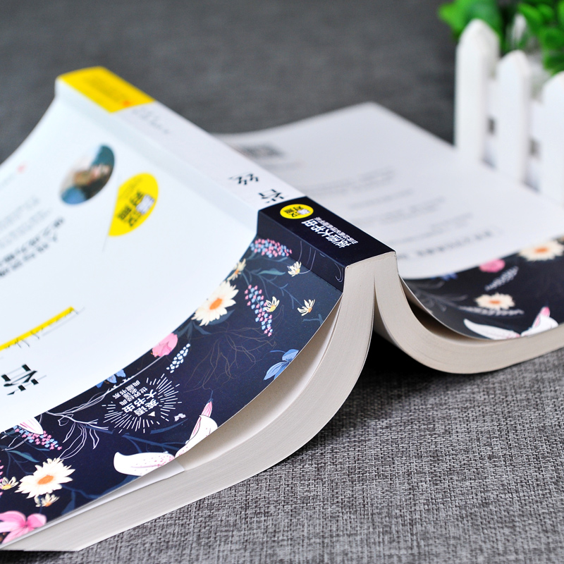 苔丝 [正版]中英双语新版 苔丝 又德伯家的苔丝英文原版 英汉对照 托马斯哈代著足本无删减中文版英文版世界名著小说原著原高清大图