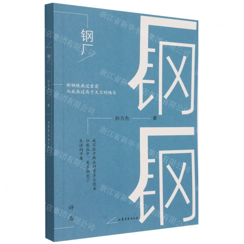 【N】钢厂-9787532964765