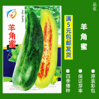 买3发6包四季蔬菜种子青菜香菜白菜生菜小葱黄瓜阳台盆栽香瓜冰糖 均码 B104-羊角蜜60粒