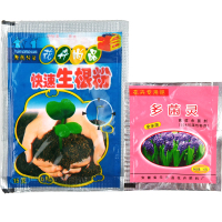 多菌灵多肉花卉药月季兰花盆栽花药叶斑病多菌菌灵通用剂植物