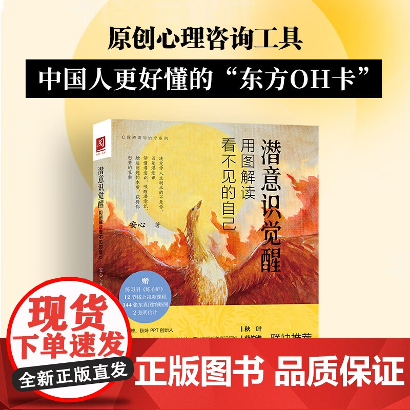 潜意识觉醒:用图解读看不见的自己 心理咨询与治疗系列 安心 中国人民大学出版社高清大图