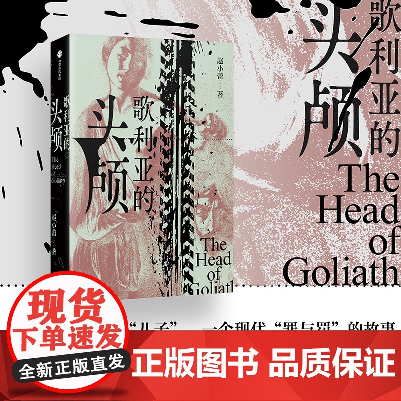 歌利亚的头颅 赵小蕾著 现代的罪与罚故事 长篇小说 父子关系 权力斗争 中信出版社图书 正版
