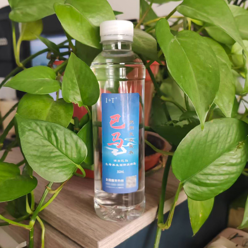 1+T 巴马饮用天然泉水 360ml*24瓶/箱高清大图