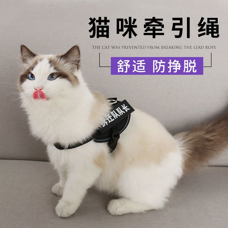 粉色[字帖指定联系客服 默认随机] XXS码[适合4斤内]猫 猫咪牵引绳防挣脱专用溜猫绳遛猫绳背心式背带项圈栓小猫绳子猫