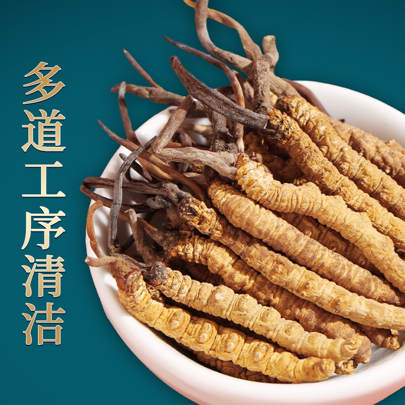 [1盒装]北京同仁堂冬虫夏草滋补干货1g/盒非鲜虫草正品头期虫草干货年货送礼滋补盒装高清大图