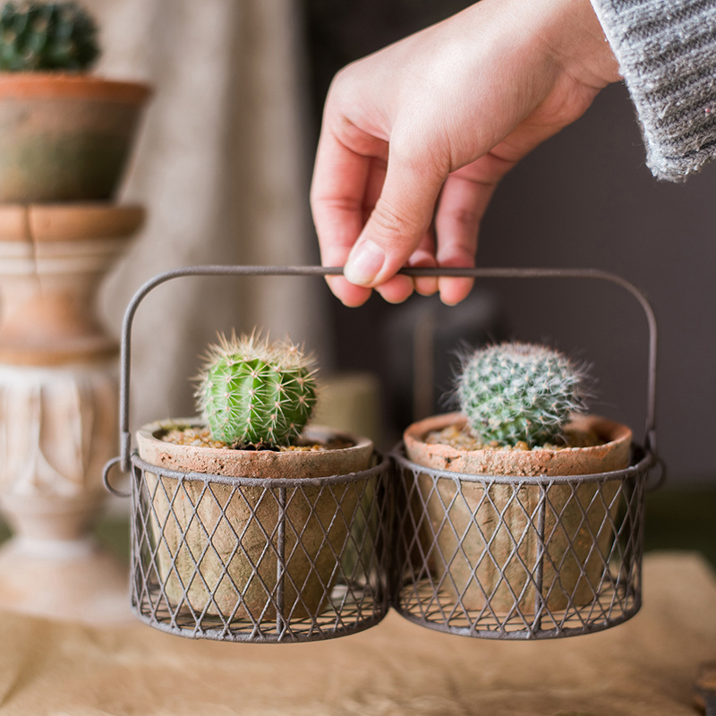 家柏饰(CORATED)泥苔红陶花盆 铁线提篮装饰收纳 花器杂货花园庭院阳台高清大图